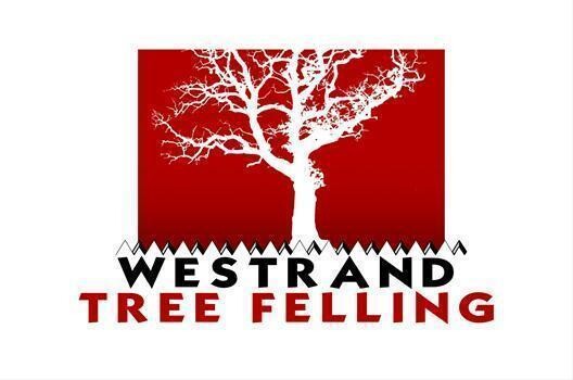 Westrand Tree Felling