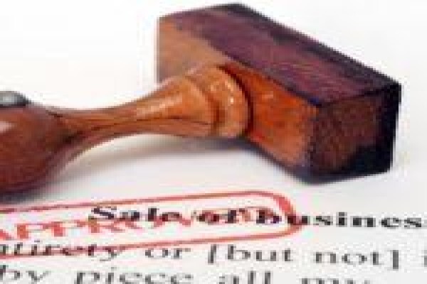 Link Garden Route Business Brokers