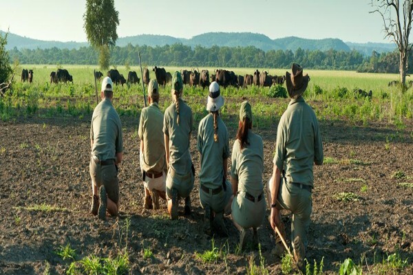 Ecotraining