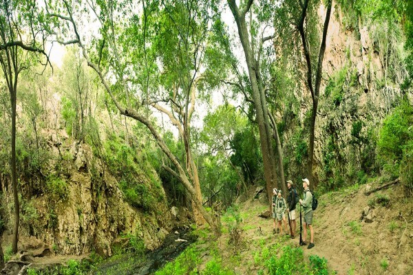 Ecotraining