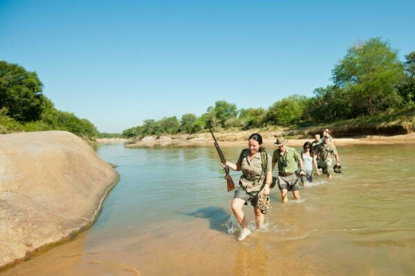 Ecotraining