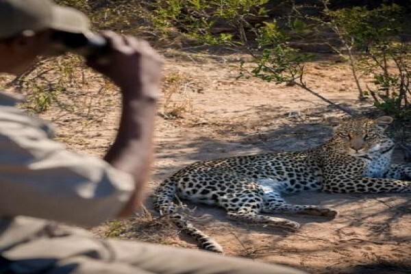 Africa Memories