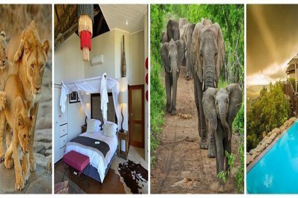 Africa Memories