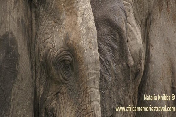 Africa Memories