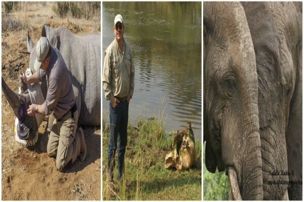 Africa Memories