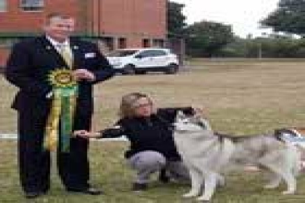 Dogworld