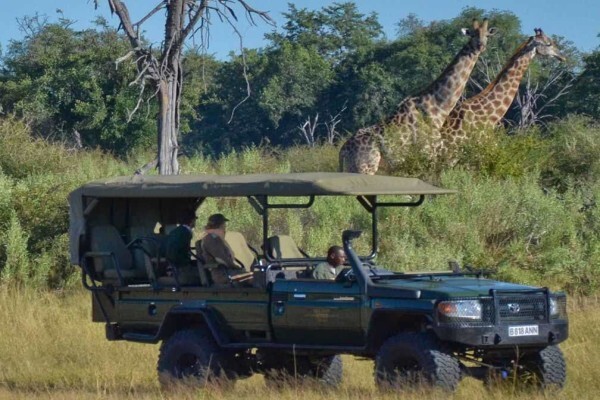 Expert Botswana