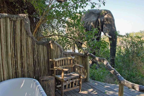 Expert Botswana