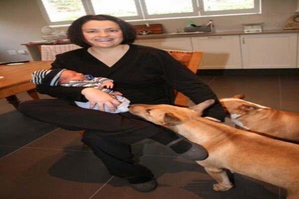 Panomar Bull Terriers