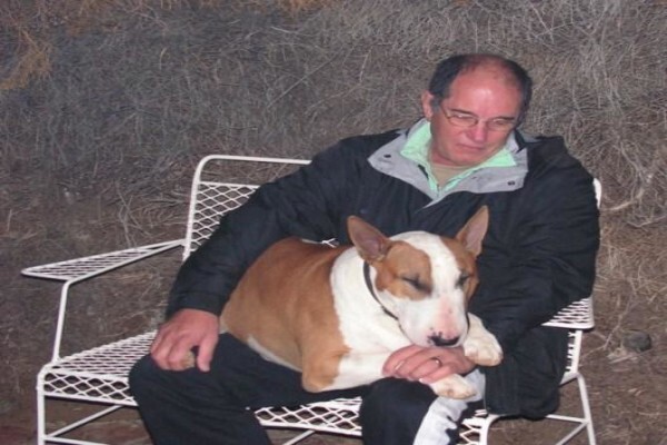 Panomar Bull Terriers