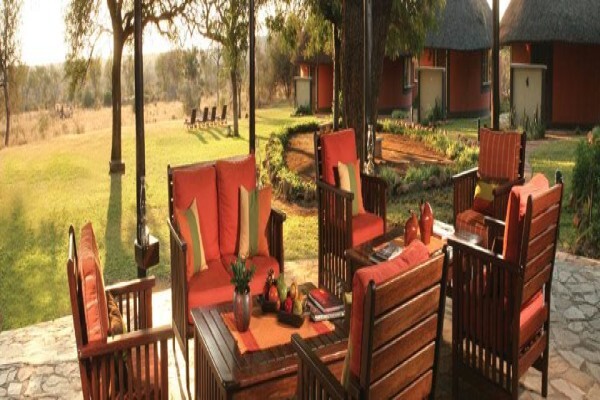 Wildlife Safaris