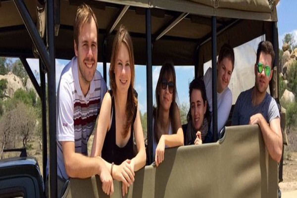 Wildlife Safaris