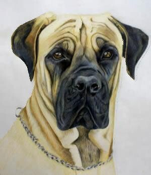 Art Classes Hartbeespoort And Fourways