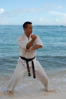 Kyokushin Karate - Gentle Giants