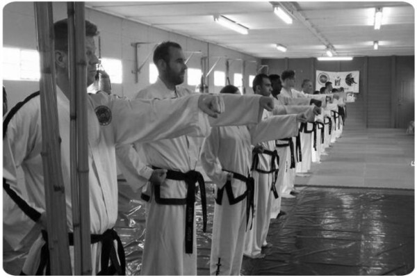 Spartan-Martial Arts (Maguataekwon-Do) Norwood