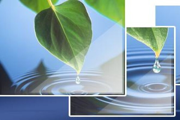 Enviro-Safe Pest Control