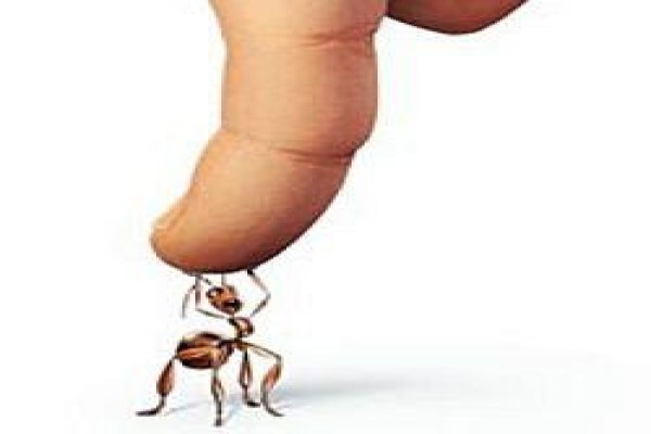 Enviro-Safe Pest Control