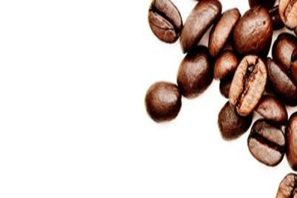Moka Coffee Roasters
