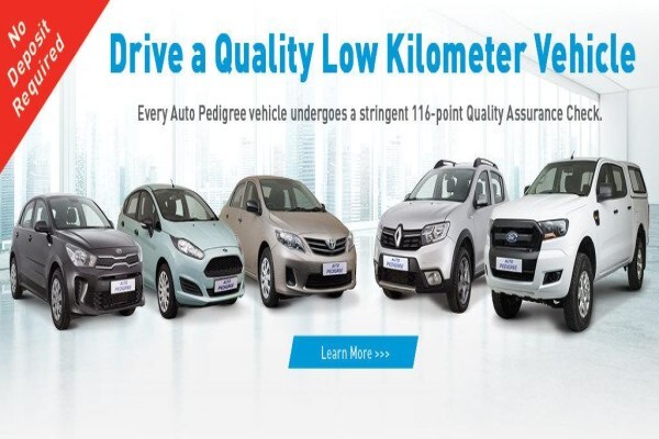 Auto Pedigree