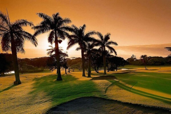 Wagner'S Golf Academy