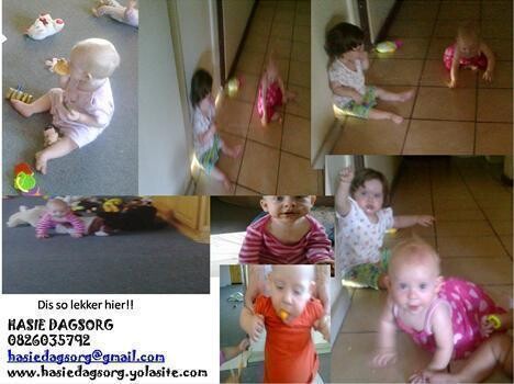 Hasie Dagsorg
