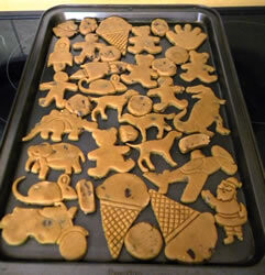 Noogie Cookie Dough