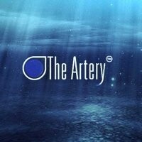 The Artery