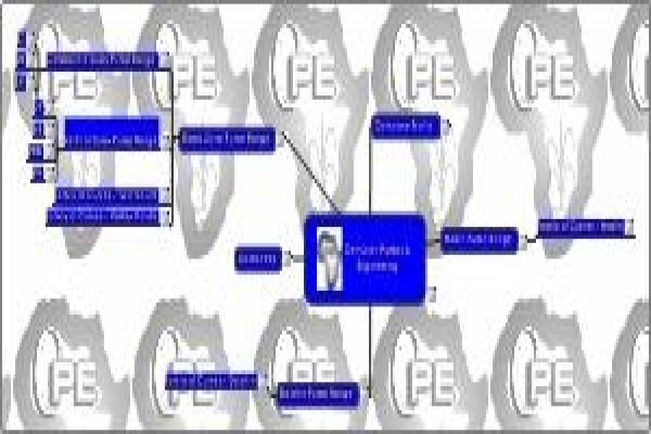 Centurion Pumps