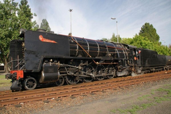 Reefsteamers Association