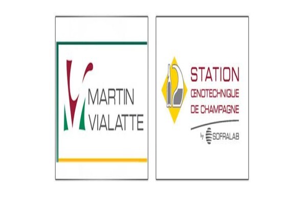 Cdsvintec