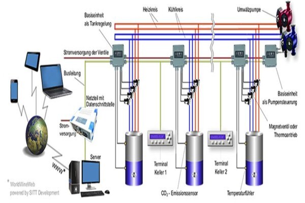 Cdsvintec
