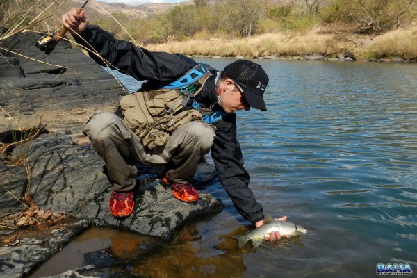 Baha Fly Fishing