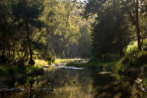 Baha Fly Fishing