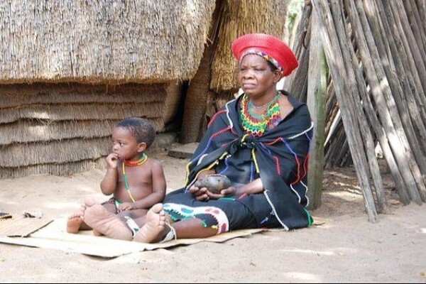 Bushbaby Safaris