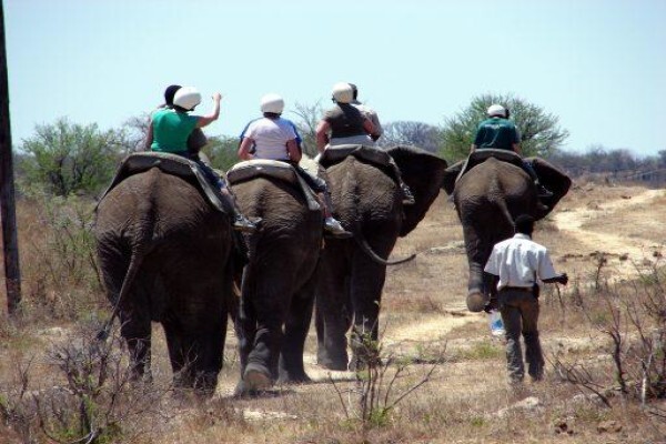 Idyllic Africa