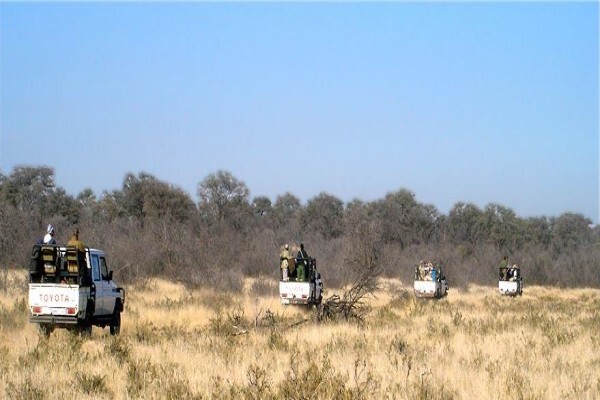 Wild Wing Safaris