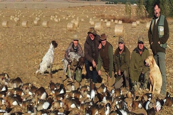 Wild Wing Safaris