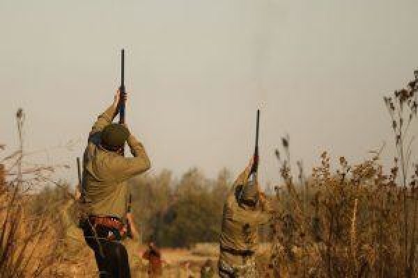 Wild Wing Safaris