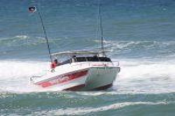 Wild Wing Safaris