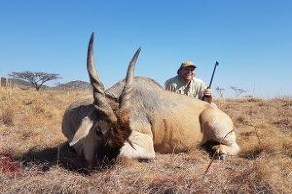 Wild Wing Safaris