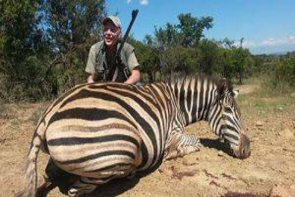Wild Wing Safaris