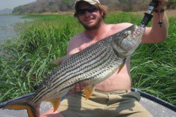 Wild Wing Safaris