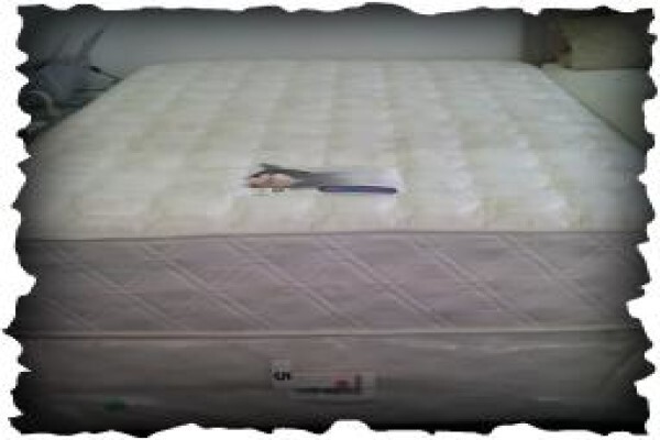 Bedbizaar