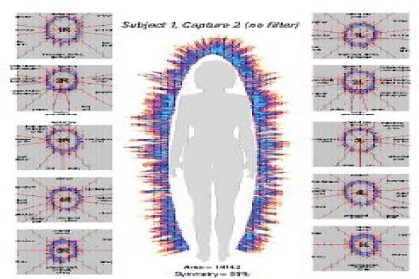 Reconnective Healing And The Reconnection