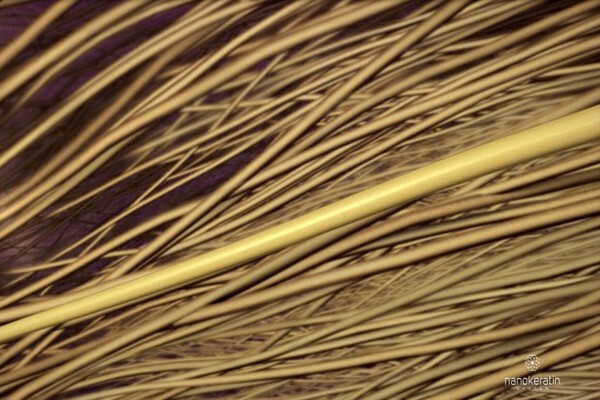 Nanokeratin System Brazilian Blowdry Treatments