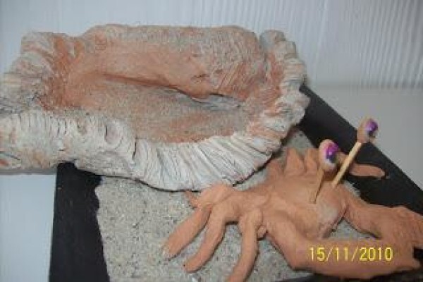 Creative Beings Process Art Studio