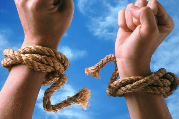 Specialised Kinesiology College