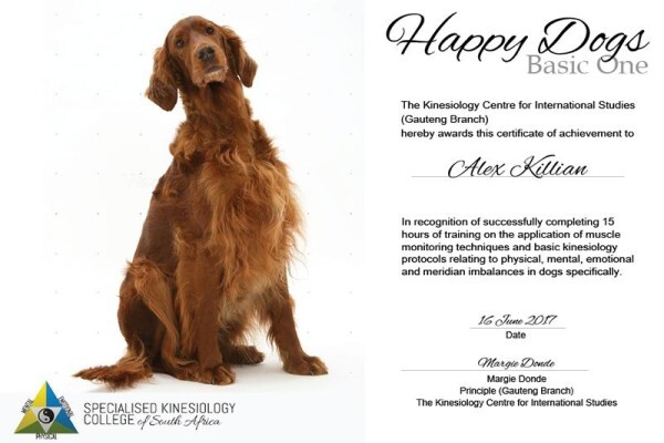 Specialised Kinesiology College