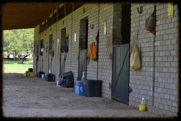 Countryside Equestrian Centre