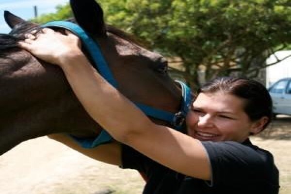 Animal Chiropractor